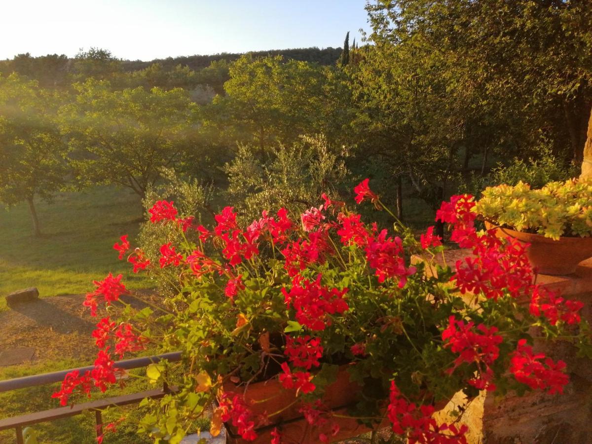 Agriturismo Sommassa Greve in Chianti Buitenkant foto